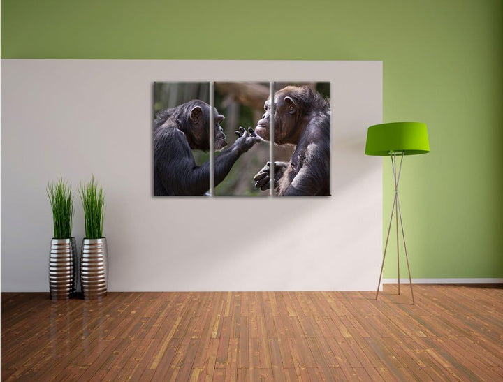 Pixxprint Schimpansen Freundschaft als Leinwandbild | Grösse: 3 Teilig (120x80) | Wandbild| Kunstdru