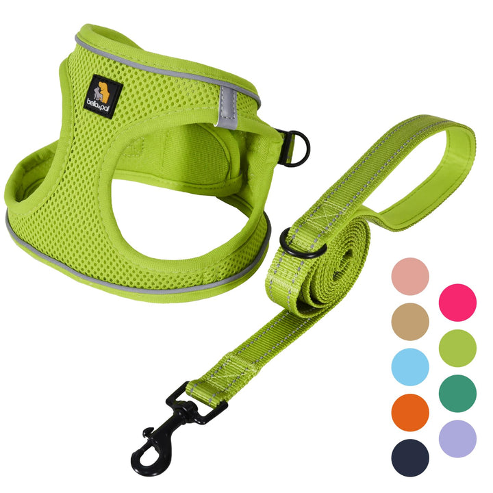 BELLA & PAL Hundegeschirr Kleine Hunde mit Leine, Step-in Geschirr aus Air Mesh, Anti Zug Reflektier