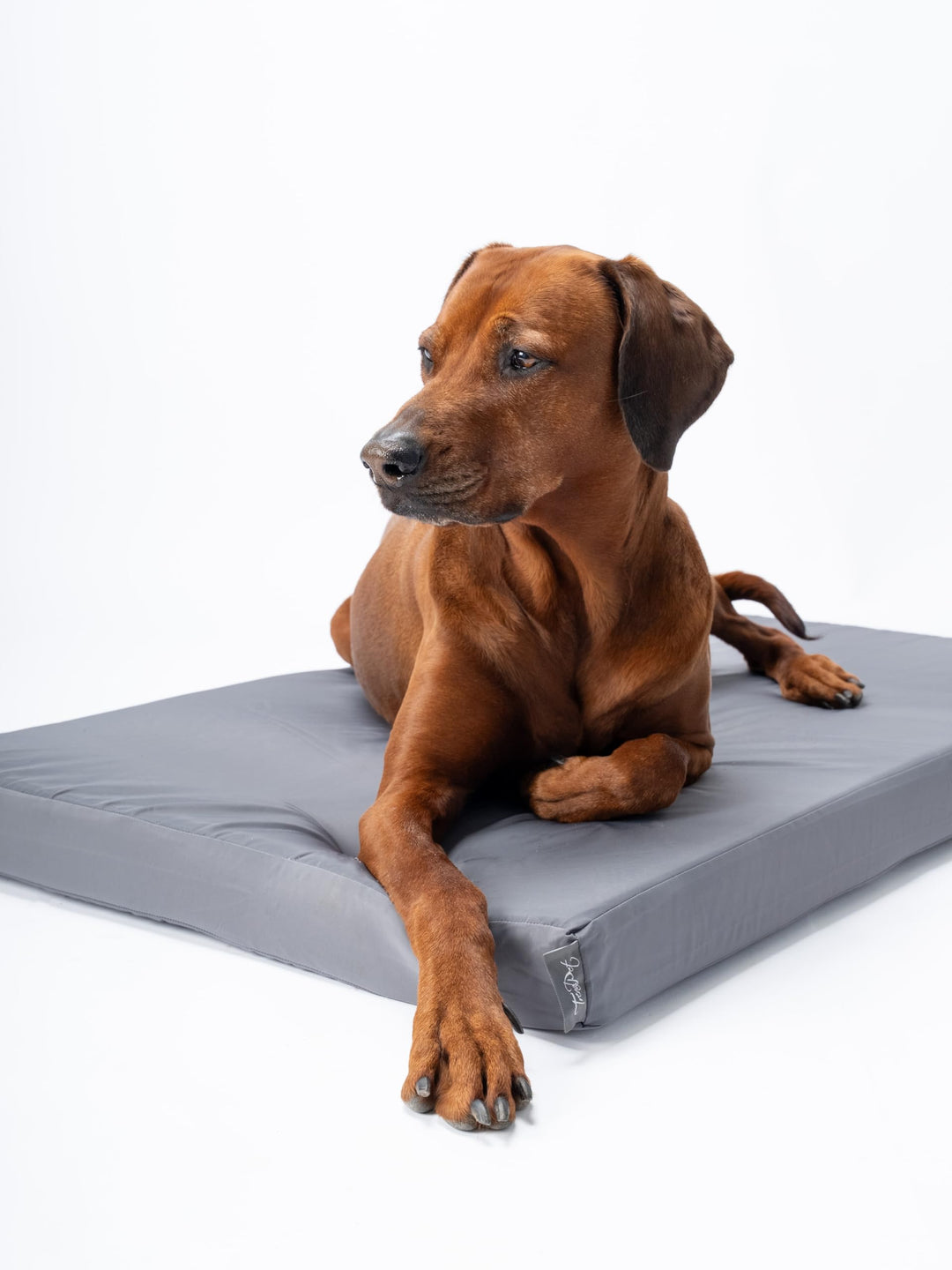 TrendPet VitaMedog Wet - Wasserabweisende orthopädische Matratze für Hunde, Hundematte in 6 Grössen