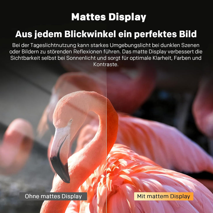 METZ Blue Tragbarer Fernseher 24 Zoll (60 cm) Google TV FHD mit Akku, 12V Auto-Ladegerät, Blendfreie