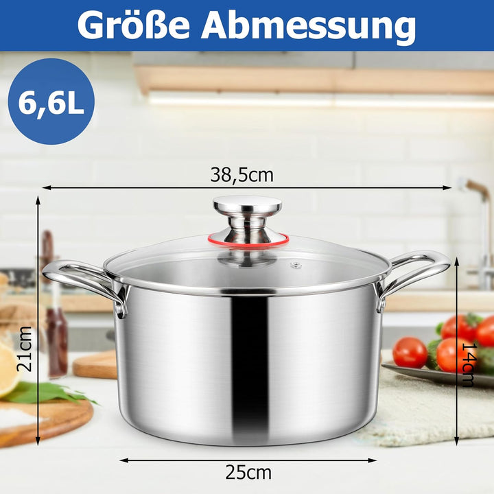 Homikit Kochtopf Gross 6,6L, Topf Induktion mit Glasdeckel, Nudeltopf Fleischtopf aus 3-Lagen Edelst