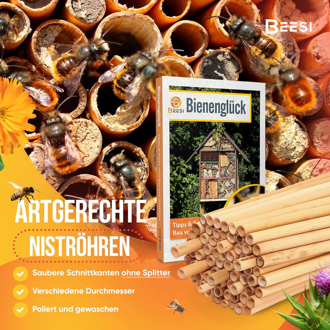 BEESI 200x Nisthülsen 14 cm lang für Insektenhotel aus Schilf I Durchmesser 4-7 mm inkl. E-Book I Fü