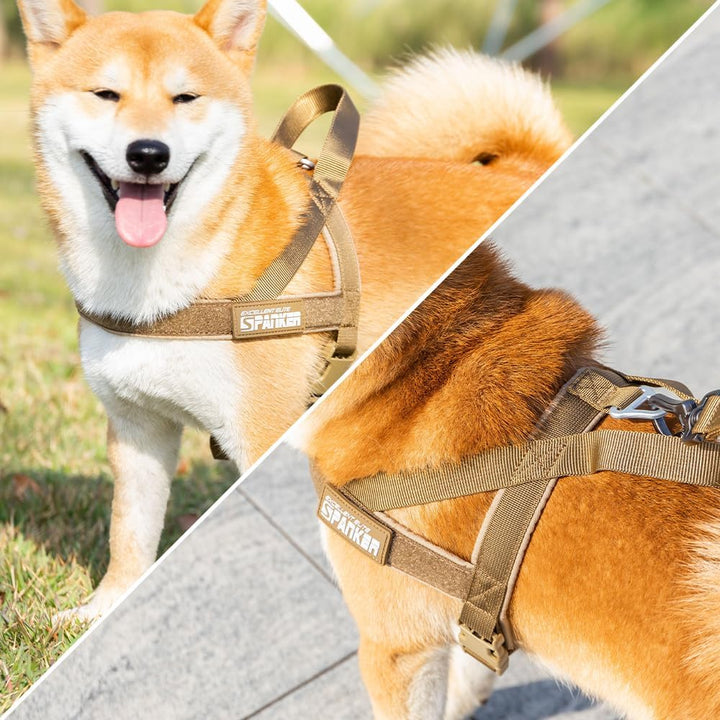 EXCELLENT ELITE SPANKER No Pull Hundegeschirr Verstellbares Nylon-Hundegeschirr mit Kontrollgriff fü