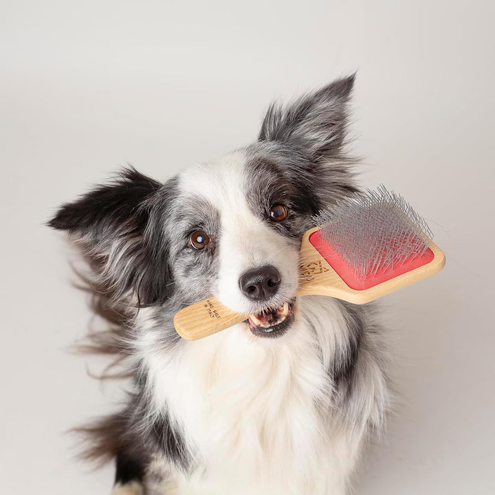 WIDU - Bürste für Hunde und Katzen, Ideal für Mittelgrosse und Grosse Tiere mit Langen Haaren, Profe