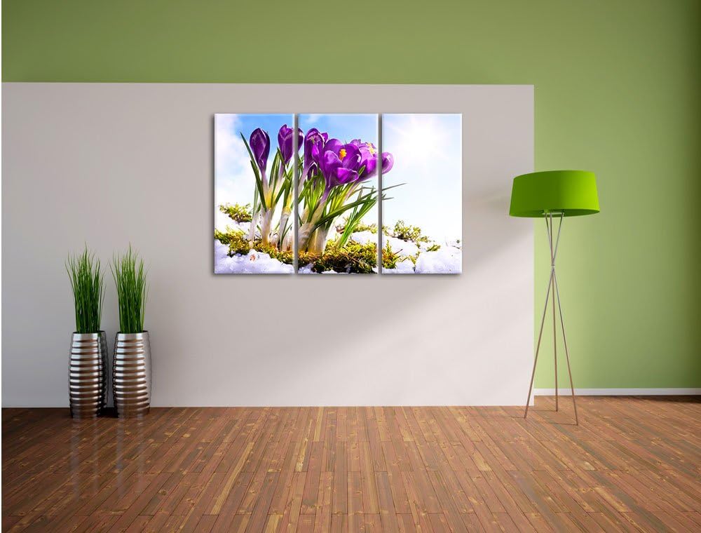Pixxprint Kunst Frühling Flower Hintergrund / 3-Teilig/Gesamtmass 120cm Leinwandbild bespannt auf Ho