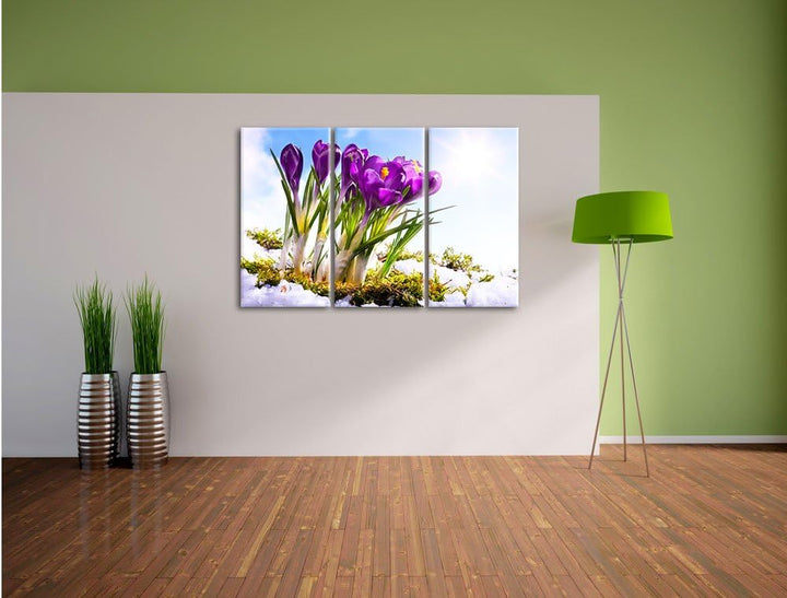 Pixxprint Kunst Frühling Flower Hintergrund / 3-Teilig/Gesamtmass 120cm Leinwandbild bespannt auf Ho