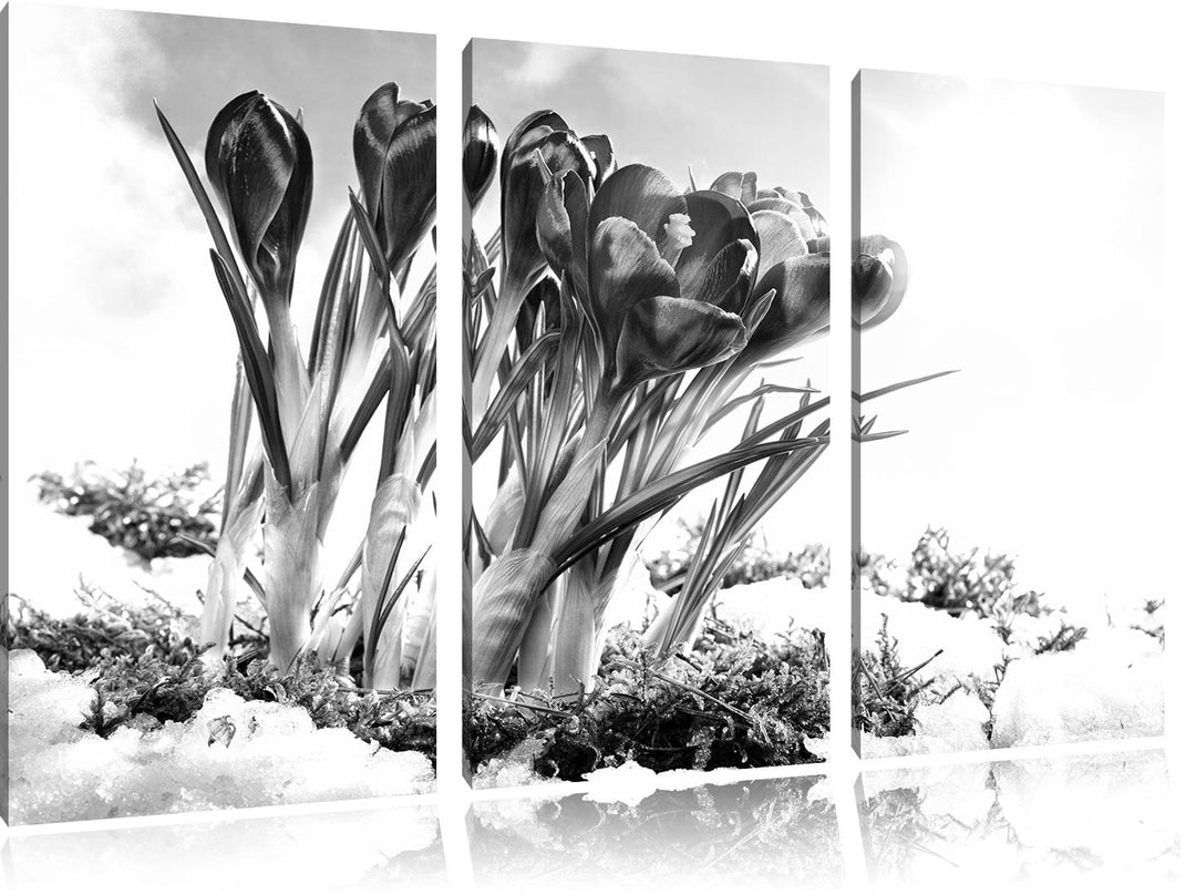 Pixxprint Frühling florwer Hintergrund / 3-Teilig/Gesamtmass 120cm Leinwandbild bespannt auf Holzrah