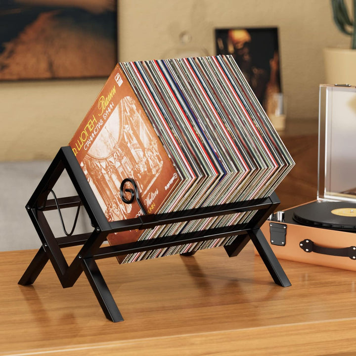 EKNITEY vinyl schallplatten aufbewahrung für 80–100 LPs metall lp Schallplattenständer einfach zu mo