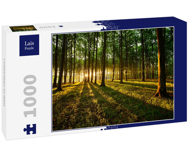 Lais Puzzle Lichtstrahlen im Wald 1000 Teile