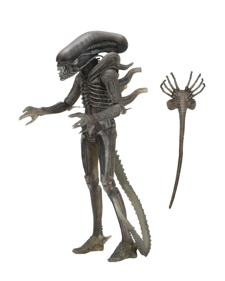 Alien NECA Xenomorph 40th Anniversary, H857800