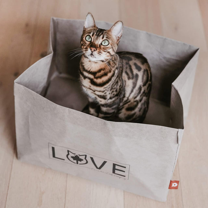 CanadianCat Company | Katzenbett 45 x 35 x 35 cm - Kuschelbett, Bettchen für alle Katzen die Pappe u