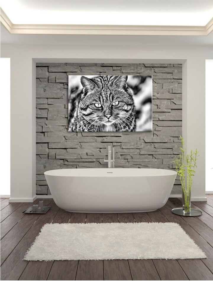Monocrome, lauernde Manul, Format: 100x70 auf Leinwand, XXL riesige Bilder fertig gerahmt mit Keilra