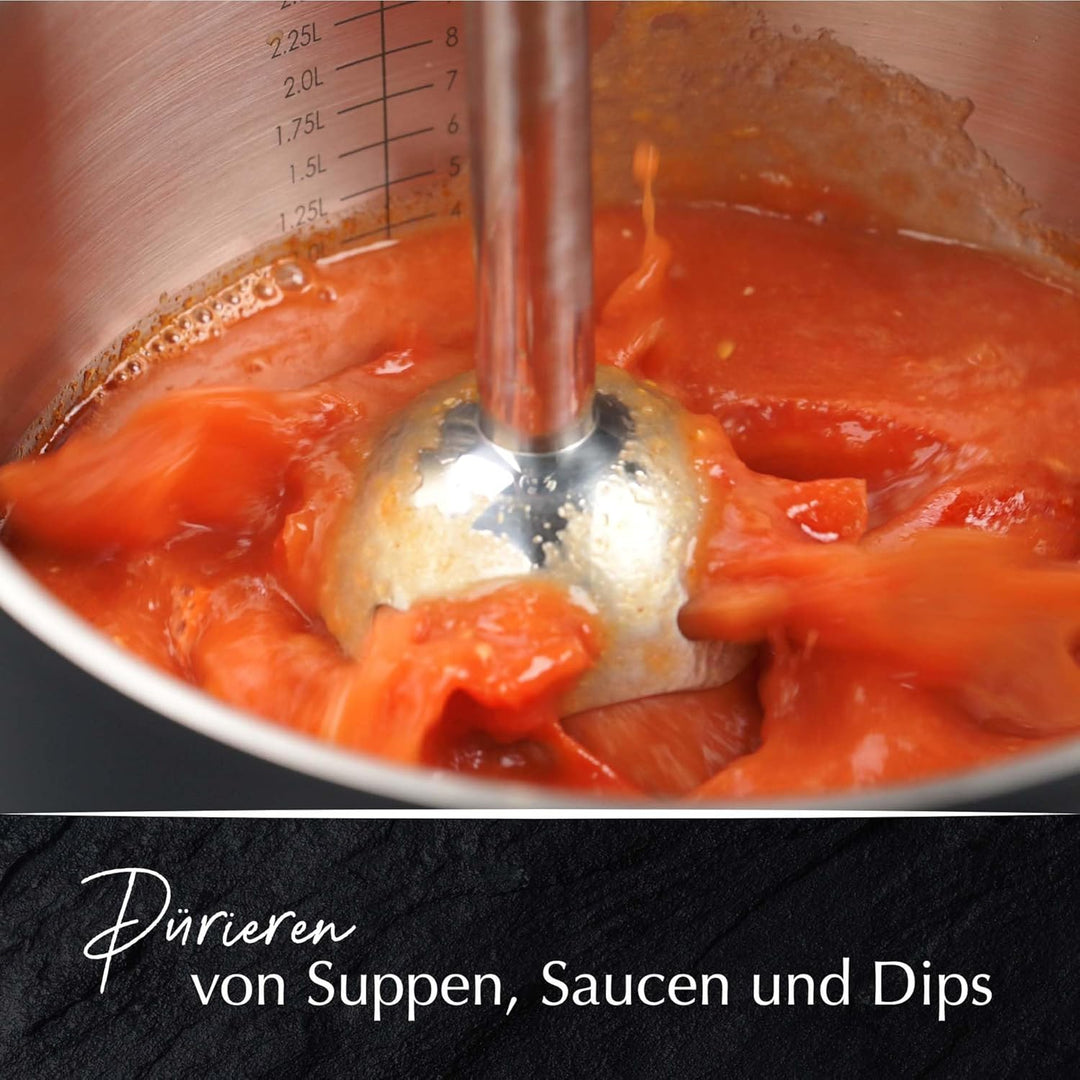 Stanley Rogers - Stabmixer, 700ml Mixbehälter mit Skala, 600W und 9 Geschwindigkeitsstufen, Pürier-A