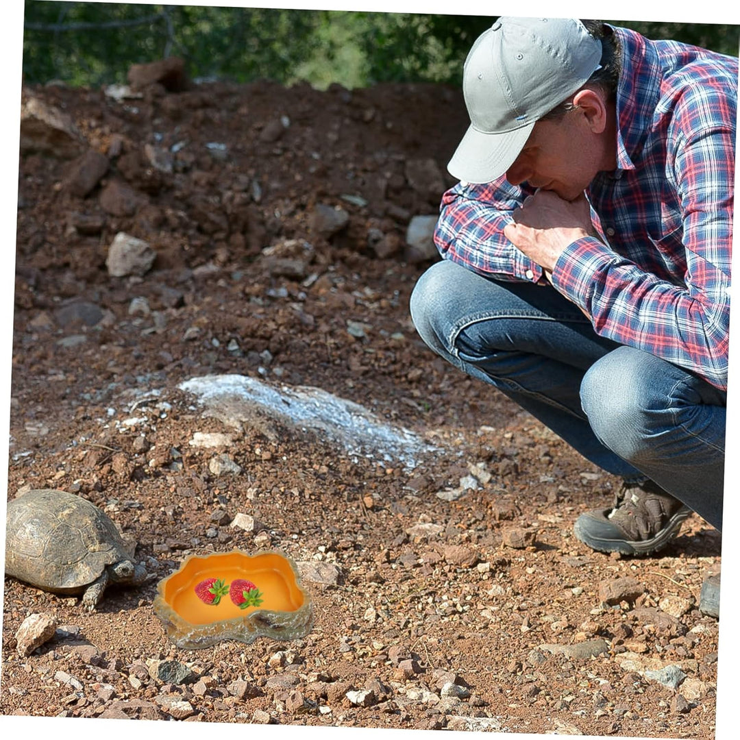 POPETPOP Schildkröte Wasserfütterung Reptil Wassernapf Futternapf Becken Eidechse Futternapf Terrari