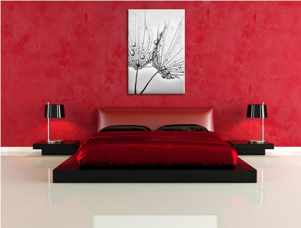 Pixxprint Monocrome, Pusteblumen mit Tautropfen, Format: 100x70 auf Leinwand, 100x70