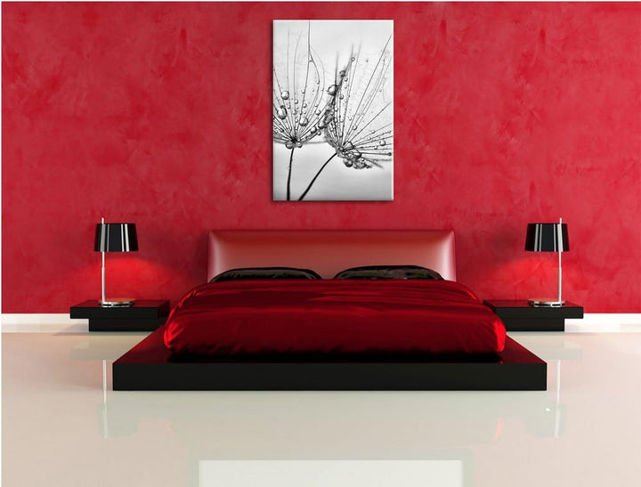 Pixxprint Monocrome, Pusteblumen mit Tautropfen, Format: 100x70 auf Leinwand, 100x70