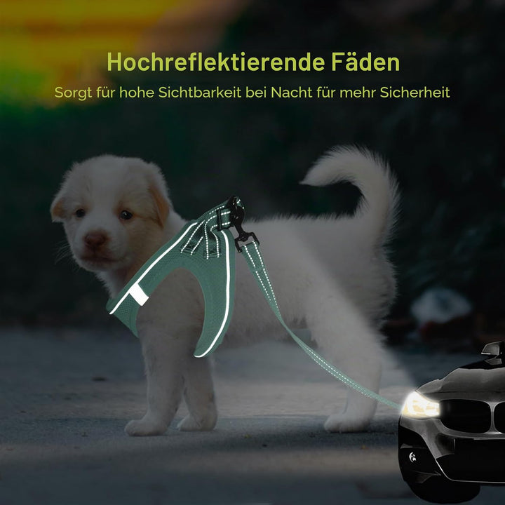 BELLA &amp; PAL Hundegeschirr Kleine Hunde mit Leine, Step-in Geschirr aus Air Mesh, Anti Zug Reflektier