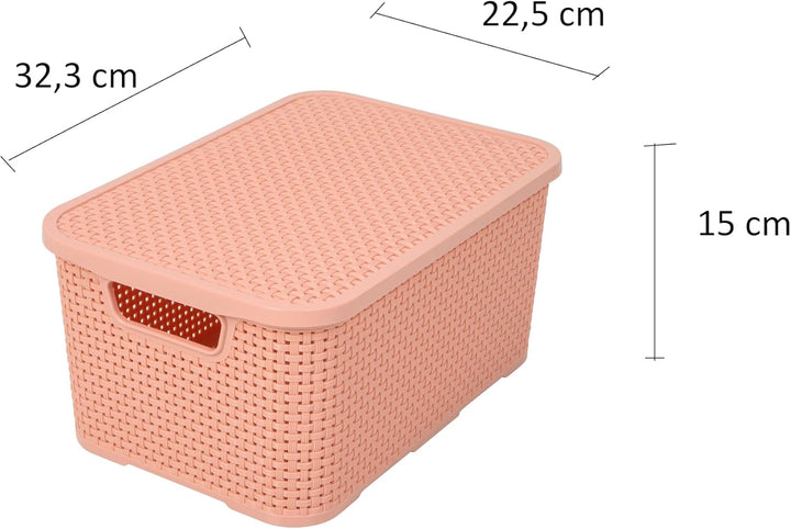 BranQ - Home essential Korb mit Deckel in Rattan Design 2er Set Grösse M 10 l, BPA-frei Kunststoff P