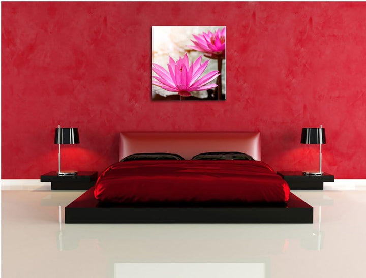 Lilafarbene Wasserlilie, Format: 70x70 auf Leinwand, XXL riesige Bilder fertig gerahmt mit Keilrahme