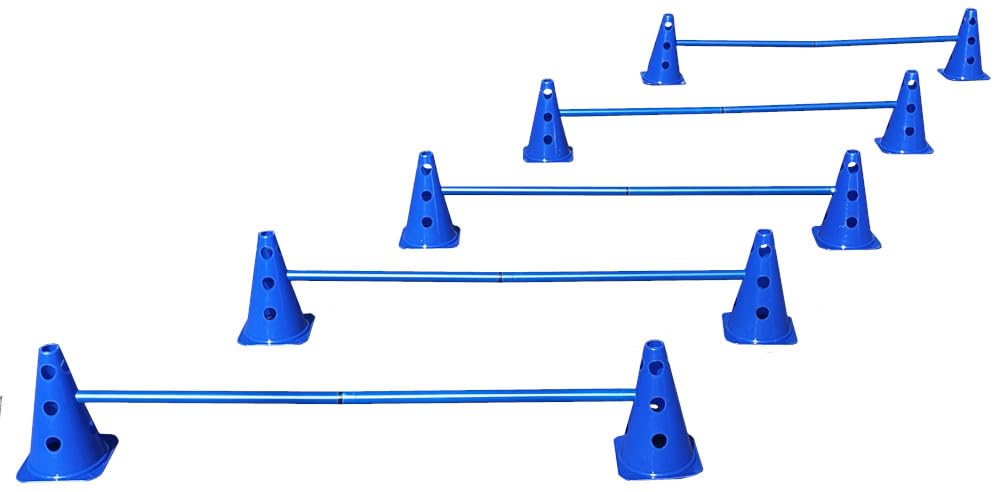 Steckhürdenset Blau - 5 er Set für Koordinationstraining Agility Hundesport Pferdesport Zubehör Loch