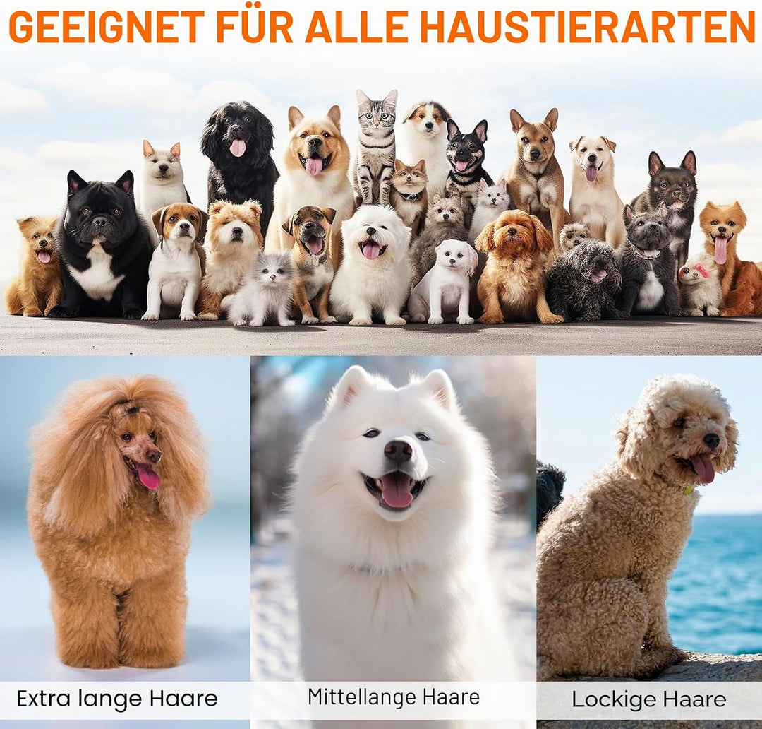 Hundepflege Vakuum Saug 99% Tierhaare PG10 Hundeschermaschine mit Staubsauger 12000 Pa, Hundebürste