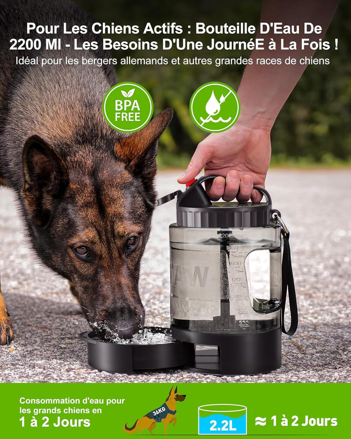 lesotc 2200 ml Trinkflasche für Hunde, Tragbare XXL extra grosse Hundetrinkflasche für unterwegs – C