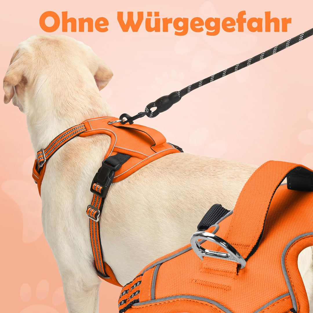 Funfox Hundegeschirr Mittelgrosse Hunde [M] - Verstellbares Anti-Zug Brustgeschirr mit Griff &amp; Refle