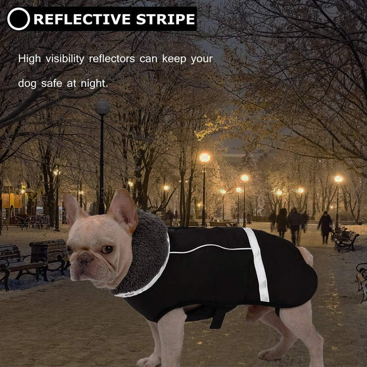 QBLEEV Hundewintermantel, warm, reflektierende Hundejacke, Rollkragen, wasserdicht, für kaltes Wette