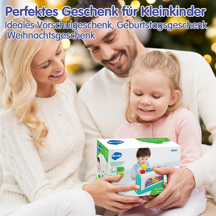 HOLA Spielzeug ab 1 Jahr, Hammerspiel Xylophon Kinderspielzeug ab 1-2 Jahre Baby Geschenk für 1 Jahr