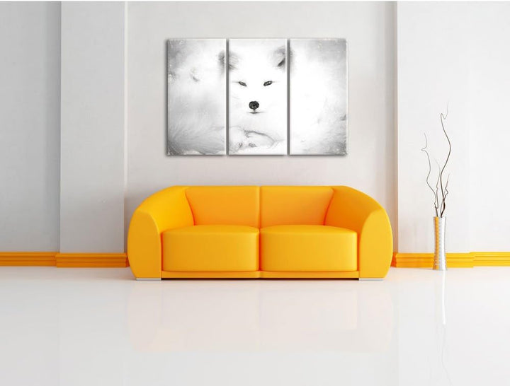 Pixxprint weisser Fuchs als Leinwandbild/Grösse: 3 Teilig (120x80) cm/Wandbild/Kunstdruck/fertig bes