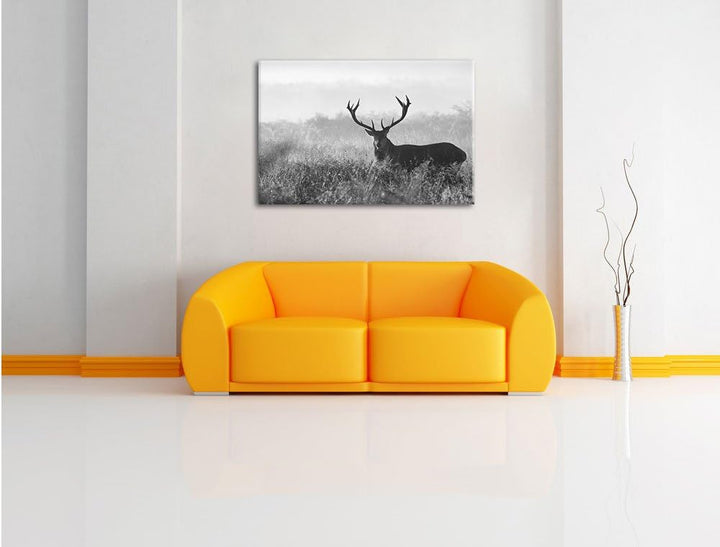 Pixxprint Rotwild Hirsch in Abenddämmerung / 100x70cm Leinwandbild bespannt auf Holzrahmen/Wandbild