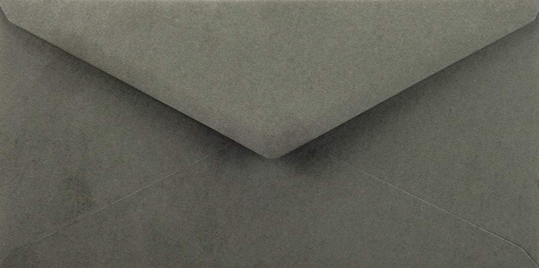 Netuno 100 Briefumschläge Graphit-Dunkel-Grau DIN lang 110 x 220 mm 115g Sirio Color Antracite Brief