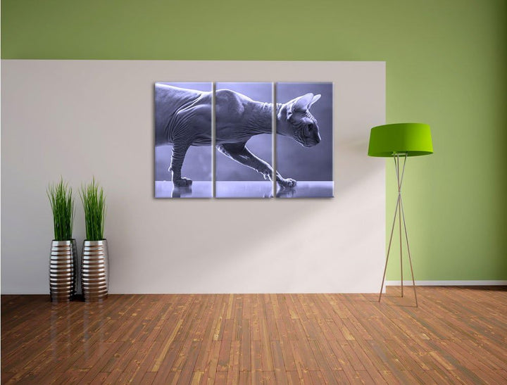 Pixxprint Einzigartige Sphynx Katze Schwarz/Weiss 3-Teiler Leinwandbild 120x80 Bild auf Leinwand