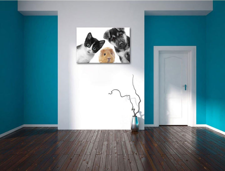 süsses Trio Hund Katze Meerschweinchen schwarz/weiss Format: 100x70 auf Leinwand, XXL riesige Bilder