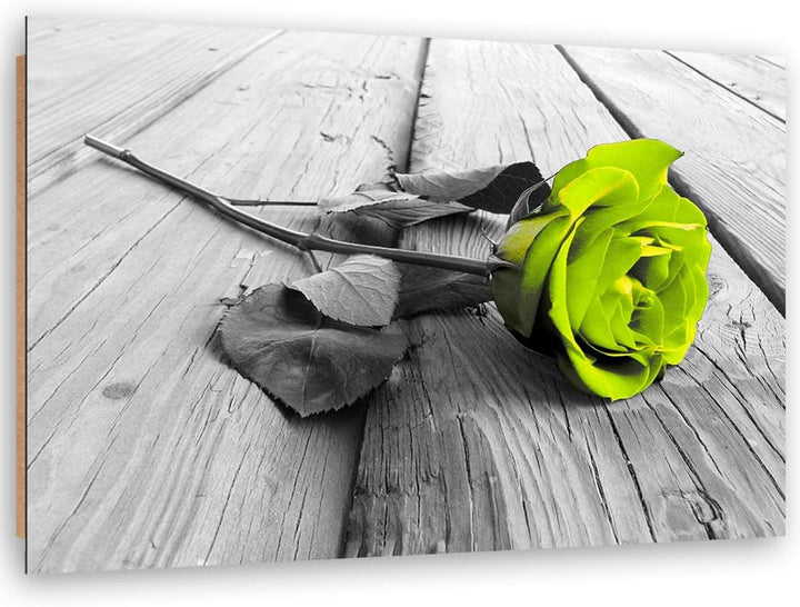 Wanddeko Rose Kunst modern Bilder Natur Grün 100x70 cm M14563 100x70 cm, M14563 100x70 cm