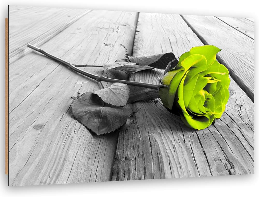 Feeby Dekobild Rose Deko Wand Kunstdruck Natur Grün 70x50 cm M14563 70x50 cm, M14563 70x50 cm