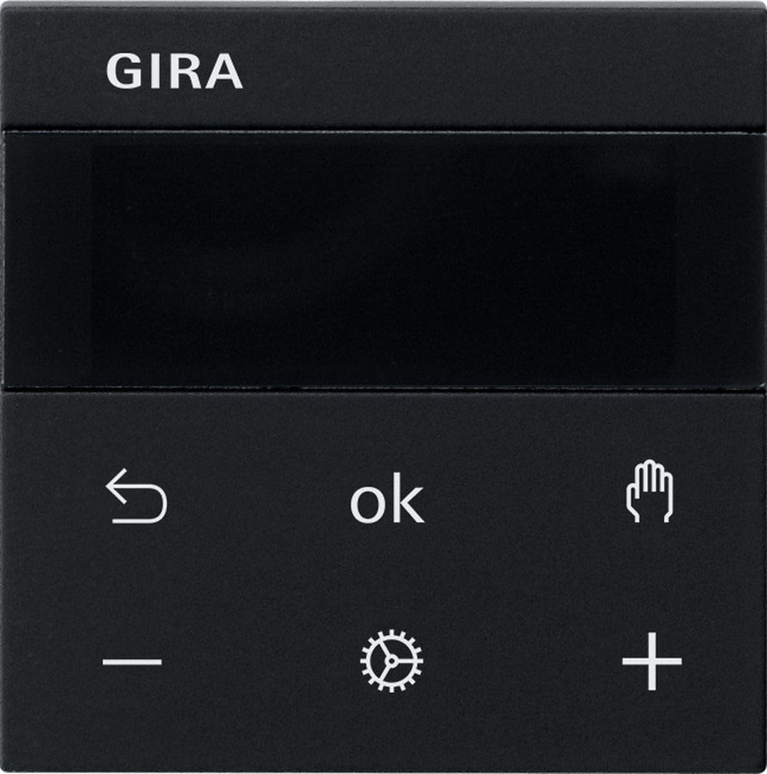 Gira RTR Display 5393005