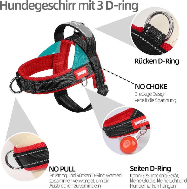 Hundegeschirr mit Leine für Mittelgrosse Kleine Hunde Welpen, Bunt Farbblock Geschirr, Mesh Gepolste