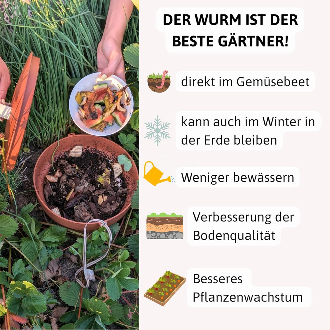 Beetkomposter Wurmvase XL - Wurm Komposter Garten zum Eingraben inkl. Wurmkiste Anleitung, Wurmvase