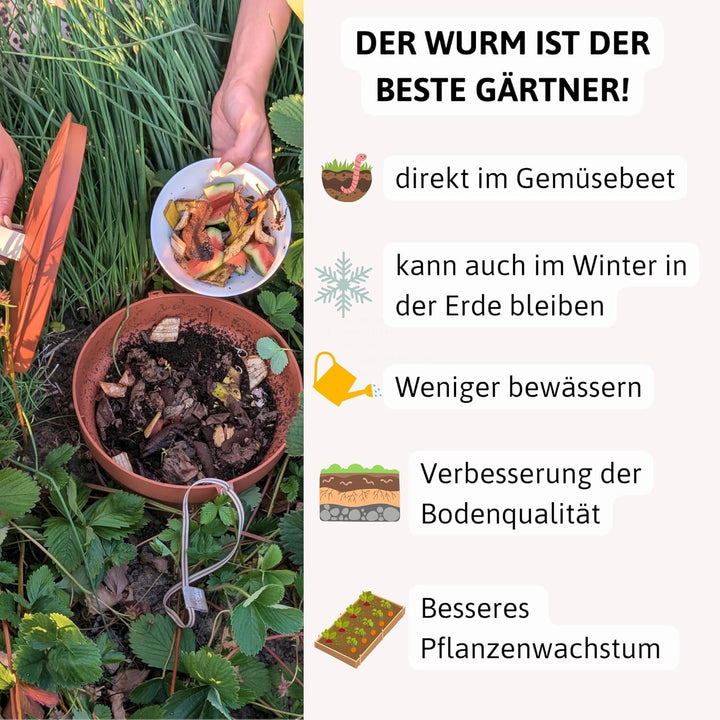 Beetkomposter Wurmvase XL - Wurm Komposter Garten zum Eingraben inkl. Wurmkiste Anleitung, Wurmvase