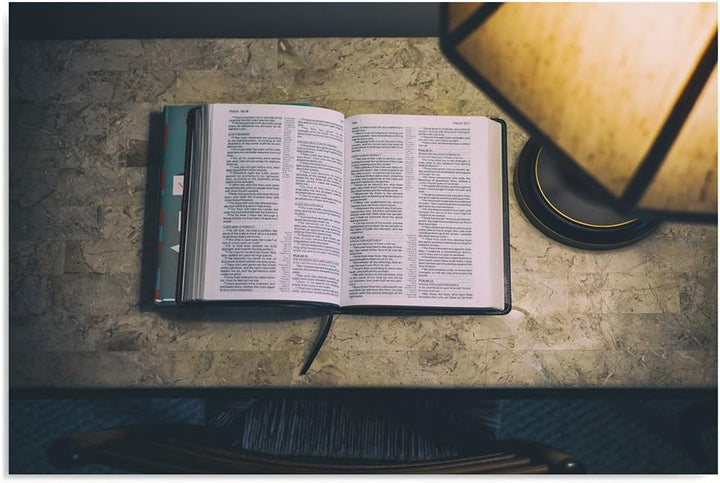 Feeby. Wandbild - 1 Teilig - 50x70 cm, Leinwand Bild Leinwandbilder Bilder Wandbilder Kunstdruck, BI