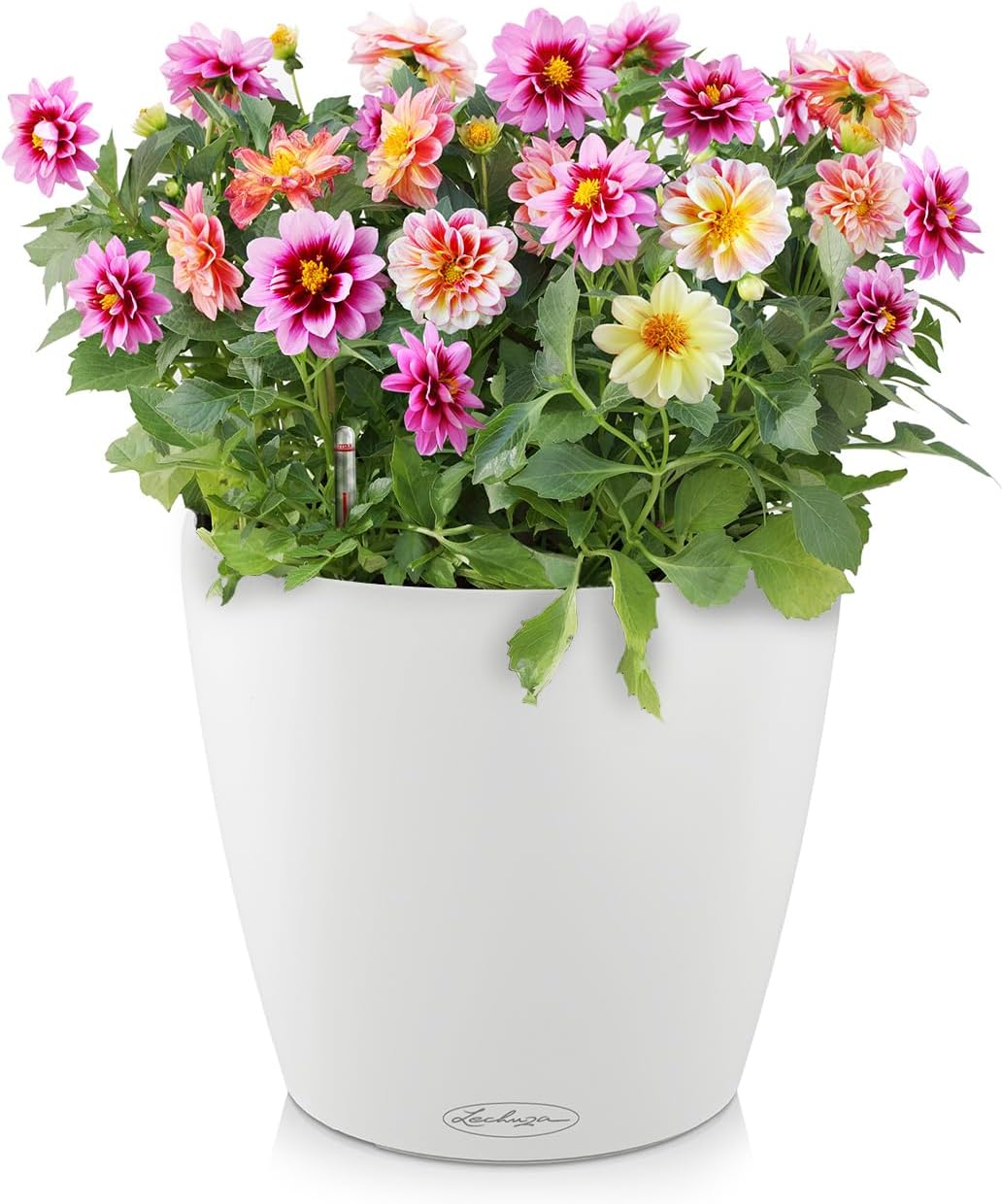 LECHUZA CLASSICO Color 28 weiss 13190 28.5x28.5x26 cm Weiss, 28.5x28.5x26 cm Weiss