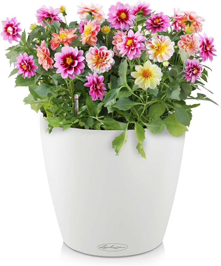 LECHUZA CLASSICO Color 28 weiss 13190 28.5x28.5x26 cm Weiss, 28.5x28.5x26 cm Weiss