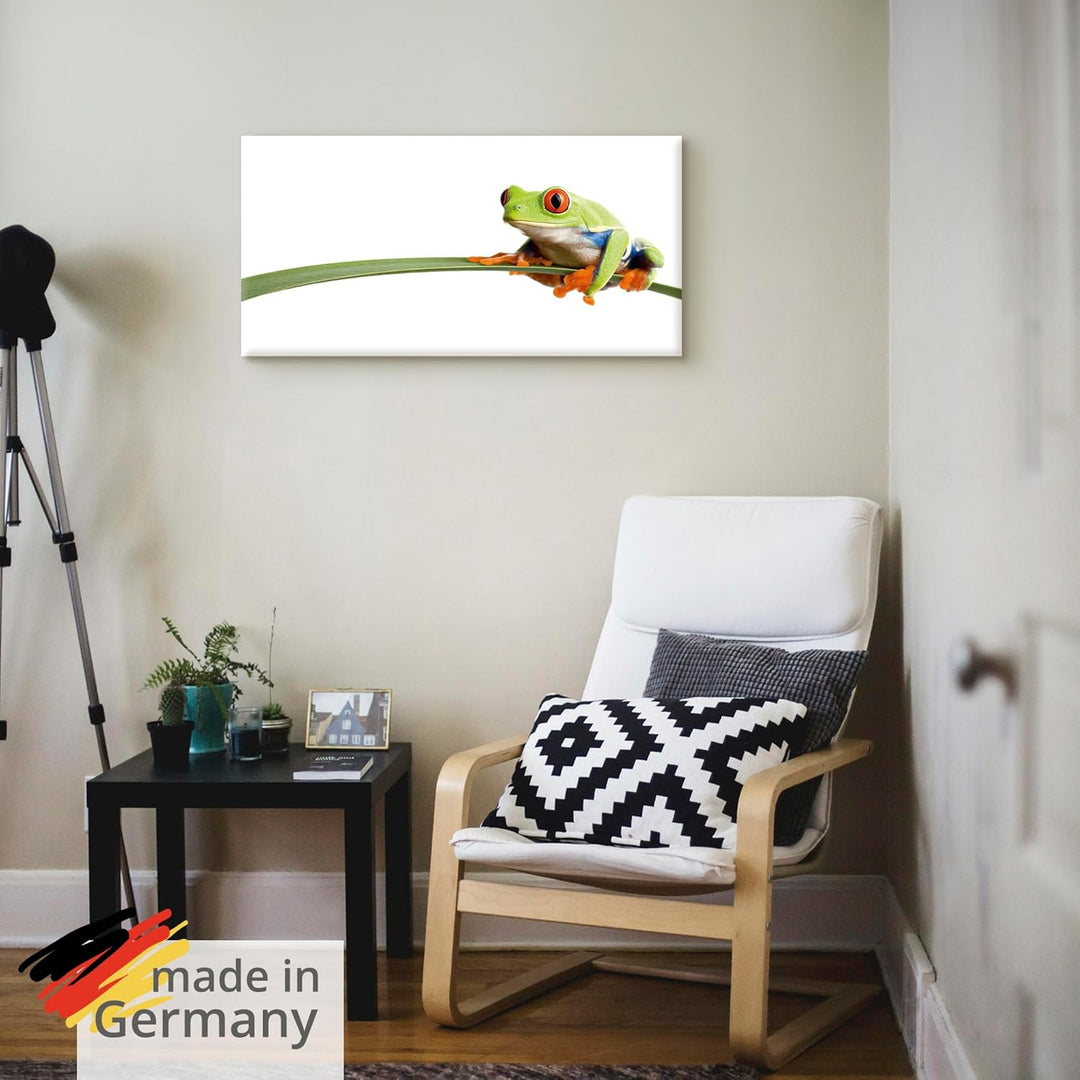 ARTland Leinwandbilder Wandbild Bild auf Leinwand 100x50 cm Frosch Tiere Natur Pflanze Blätter Gräse