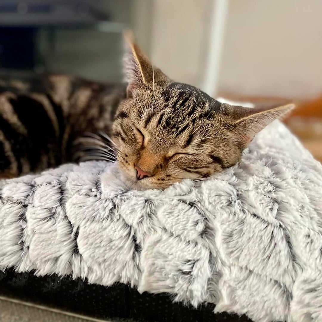 Petace Selbstheizende Decke Katze, Heizdecke für Katzen und Hunde,Haustier Wärmekissen für Innen- un