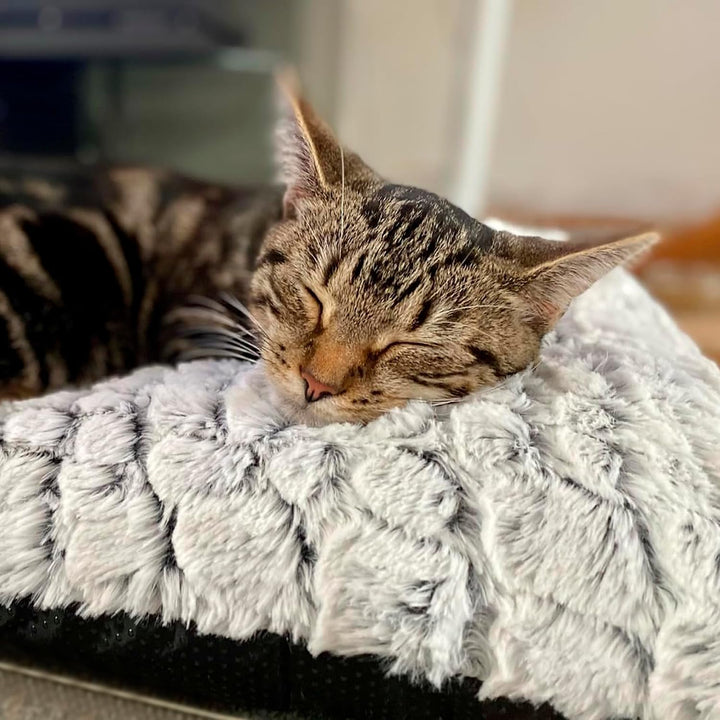 Petace Selbstheizende Decke Katze, Heizdecke für Katzen und Hunde,Haustier Wärmekissen für Innen- un