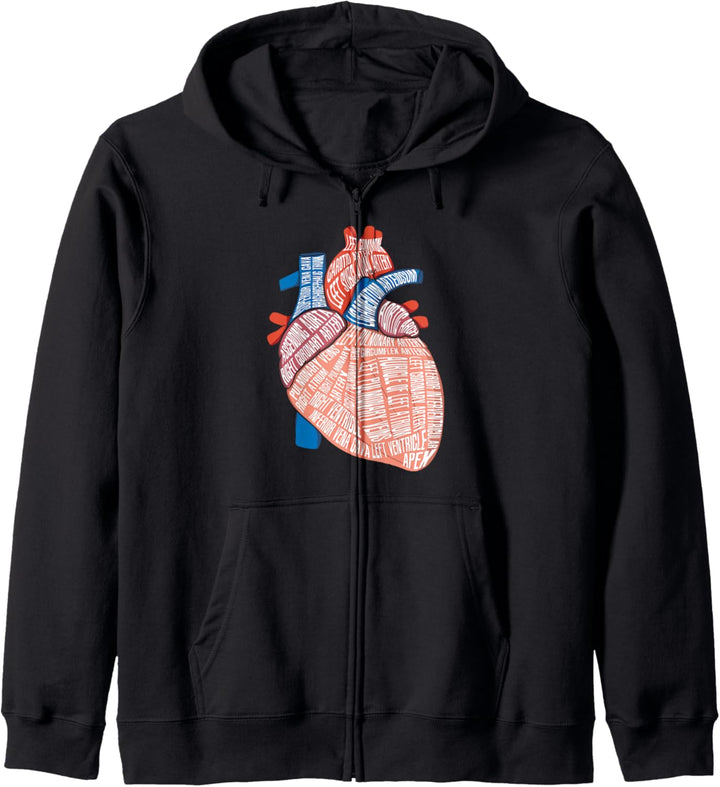 Anatomie Herz Für Kardiologie Doktoren - Herz Anatomie Kapuzenjacke