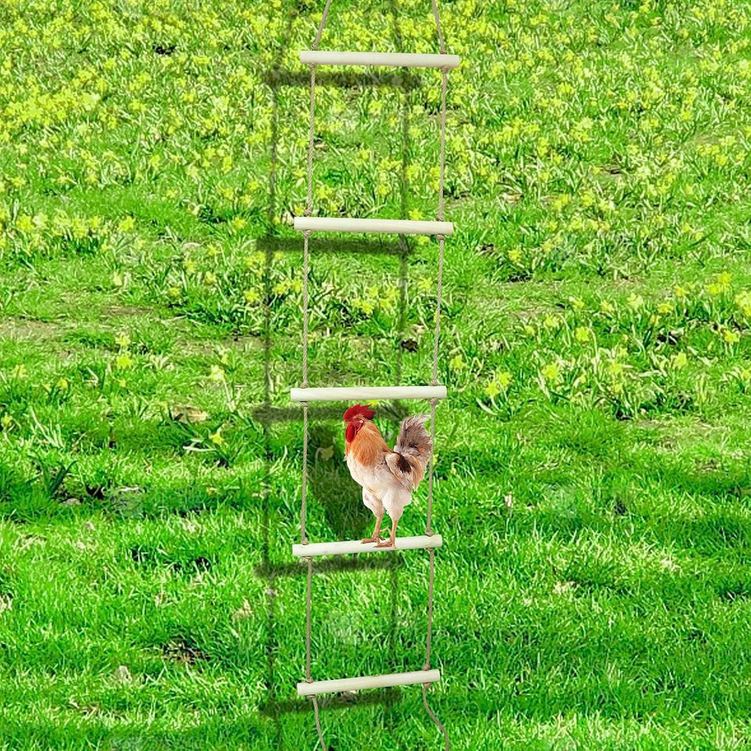 Dnoifne Extra Langer Hühnersitzstange aus Naturholz – Schaukel & Ruheplatz für Hühner, grosse Vögel