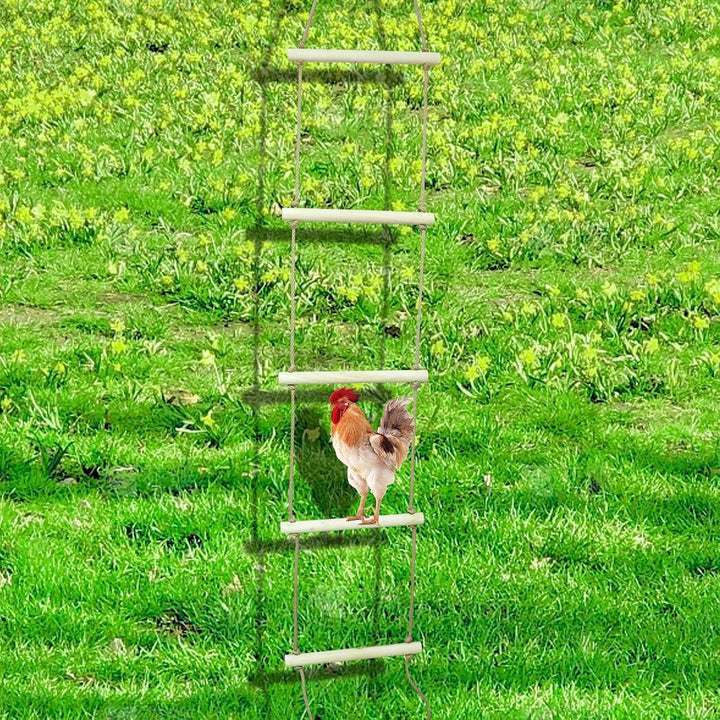 Dnoifne Extra Langer Hühnersitzstange aus Naturholz – Schaukel & Ruheplatz für Hühner, grosse Vögel