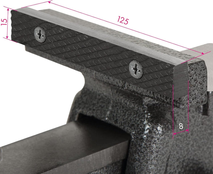 EBERTH Schraubstock aus Gusseisen mit Amboss, 125mm Backenbreite, 130mm Gesamthöhe, 360° drehbar, 11